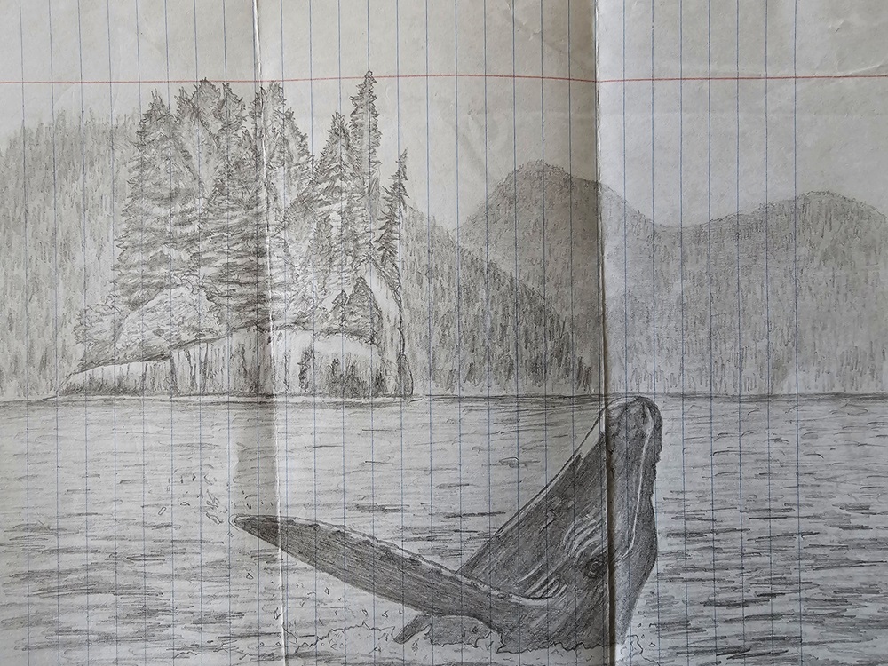 Whale Sketch
